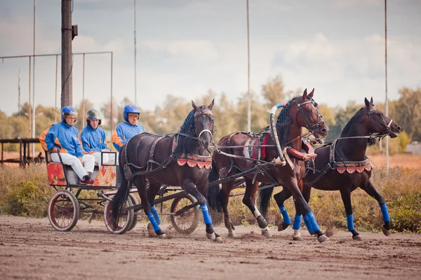 ロシア ロシア トロイカの選手権「ラメンスコエ夏 2014" — ストック写真