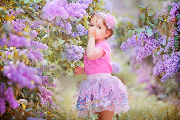 Little girl portrait in a lilac garden — Stock Photo, Image
