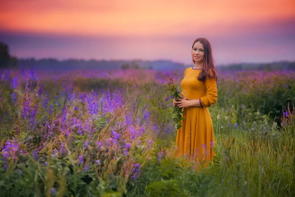 Mulher bonita no prado — Fotografia de Stock