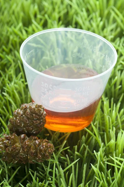 pine cone cough syrup