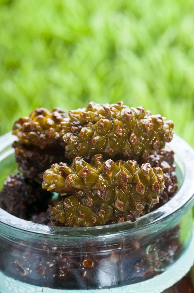 Pine cones in glass — Stock Photo, Image