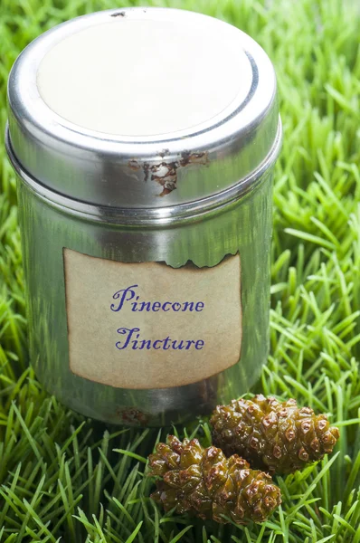 Pine cone tincture — Stock Photo, Image