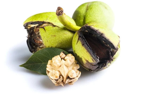 Nueces maduras con cáscara verde —  Fotos de Stock