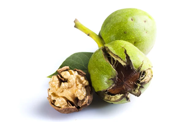 Nueces maduras con cáscara verde —  Fotos de Stock