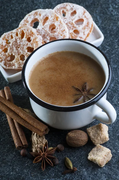 Masala te med kryddor — Stockfoto