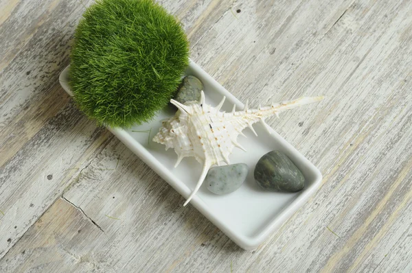 Grass, stones and seashell — Stock Photo, Image