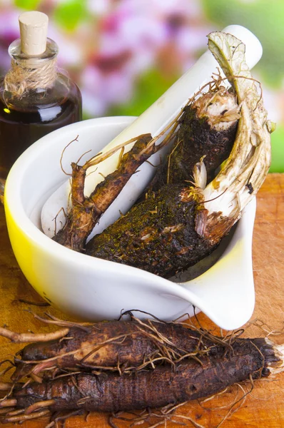 Radici di bardana in tazza con olio d'oliva — Foto Stock