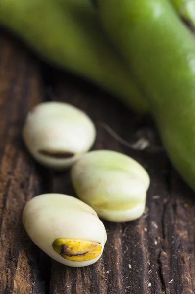 Tuinbonen — Stockfoto