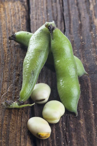 Bondbönor — Stockfoto