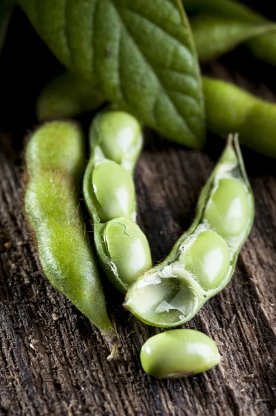 Soybeans with leaves — Stock Photo, Image