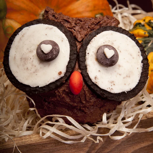 Owl muffins — Stock Photo, Image