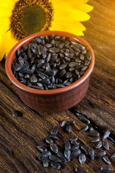 Sunflower and seeds — Stock Photo, Image