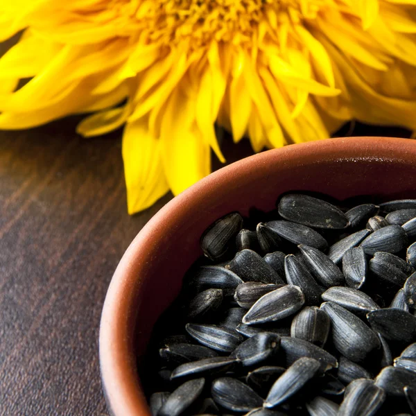 Girassol e sementes — Fotografia de Stock