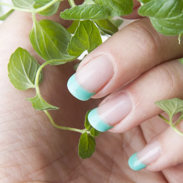 Fresh mint nails design — Stock Photo, Image