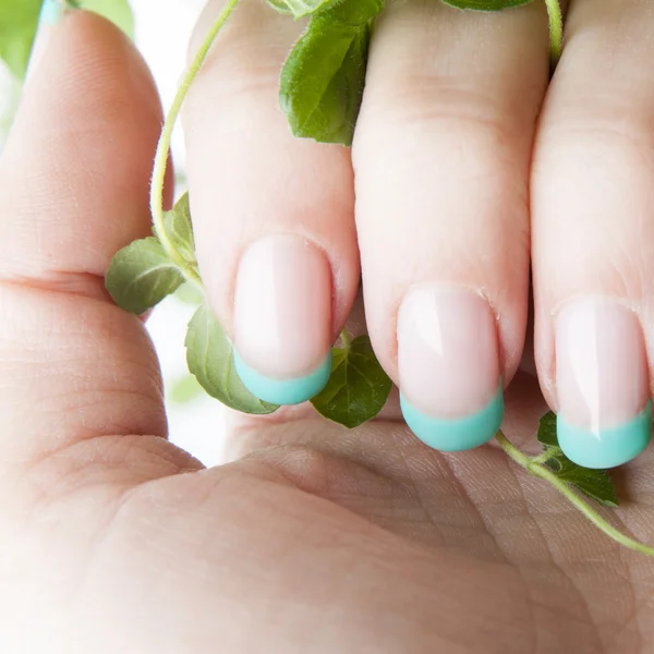 Fresh mint nails design — Stock Photo, Image