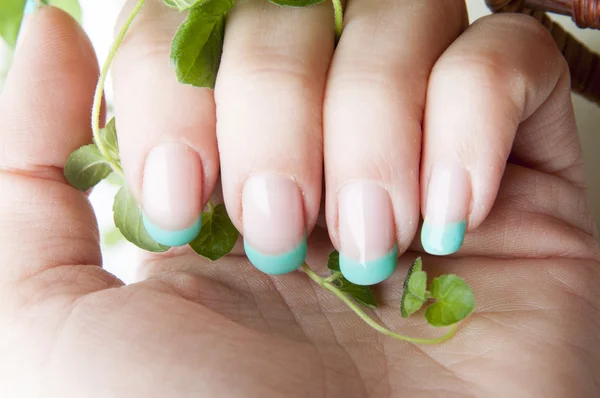 Fresh mint nails design — Stock Photo, Image