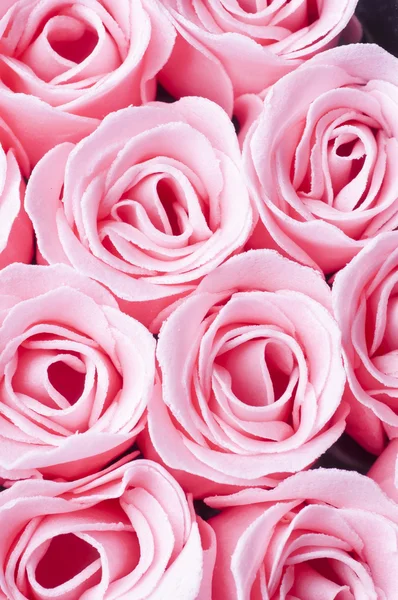 Fondo rosas rosadas — Foto de Stock