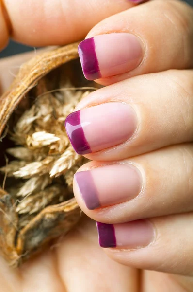 Fioletowy akryl manicure — Zdjęcie stockowe