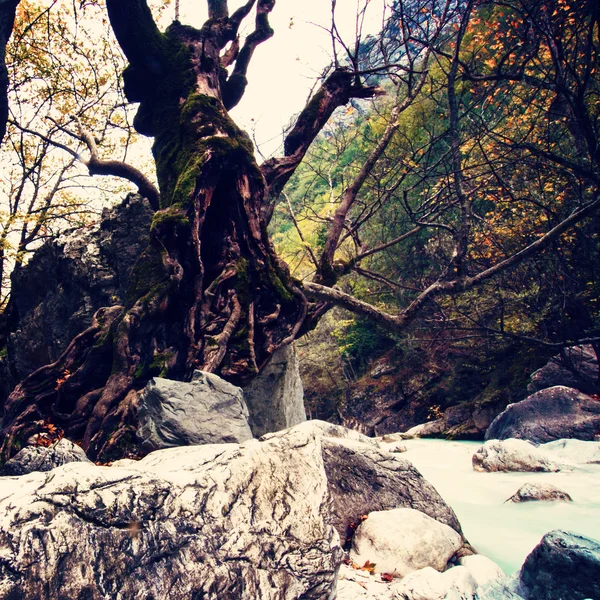 River of Pozar at Aridaia — Stock Photo, Image