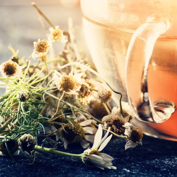Kamilla tea és virágok — Stock Fotó