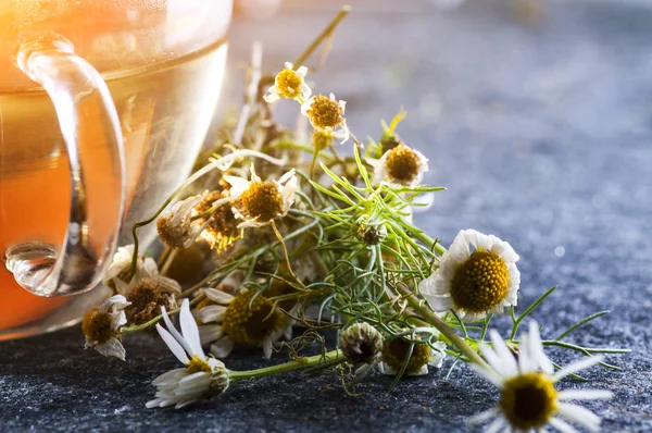 Kamille thee en bloemen — Stockfoto