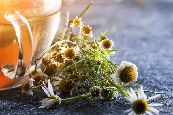 Té de manzanilla y flores — Foto de Stock