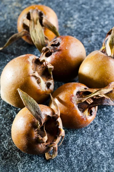 Common medlar  fruit — Free Stock Photo