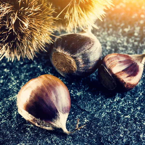 Castanhas e ouriços — Fotografia de Stock