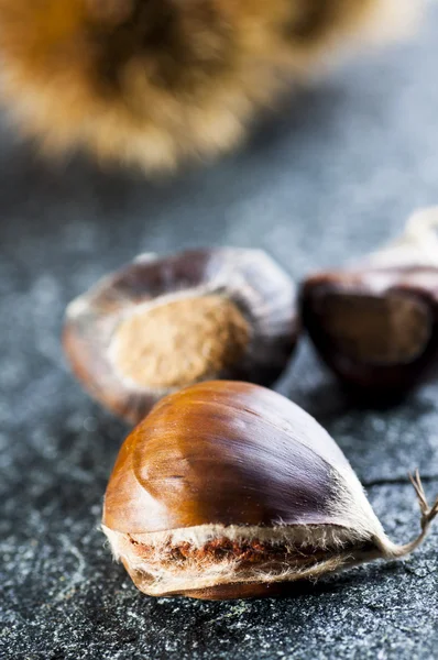 Chestnut dan landak — Stok Foto