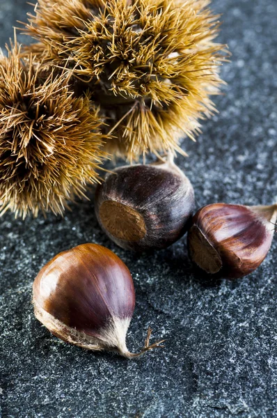 Chestnuts and hedgehogs — Stock Photo, Image