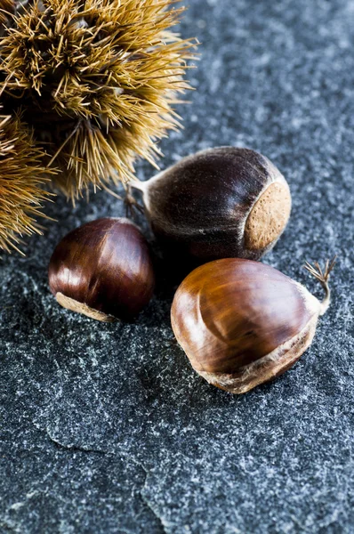 Castanhas e ouriços — Fotografia de Stock