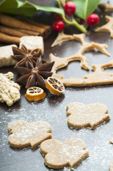 Soubory cookie a zázvor těsta — Stock fotografie