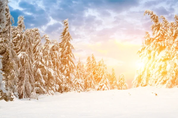 Ηλιόλουστη μέρα στα βουνά του χειμώνα — Φωτογραφία Αρχείου