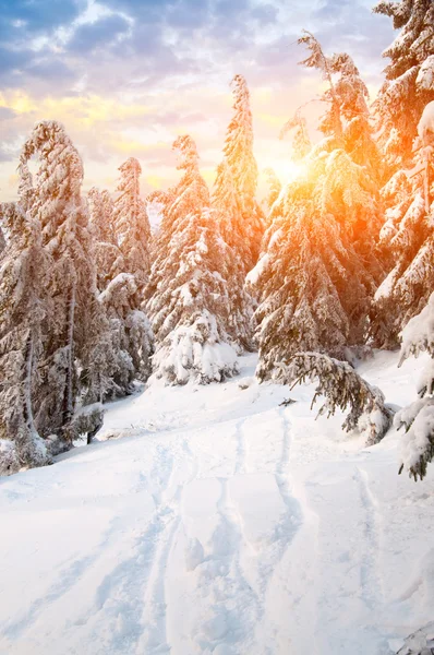 Dia ensolarado nas montanhas de inverno — Fotografia de Stock