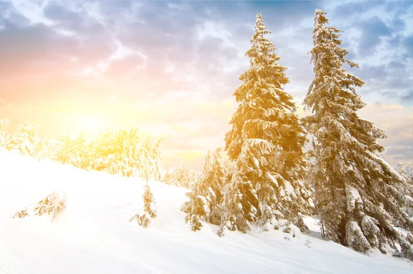 Dia ensolarado nas montanhas de inverno — Fotografia de Stock