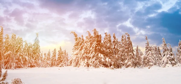 Сонячний день в зимових горах — стокове фото