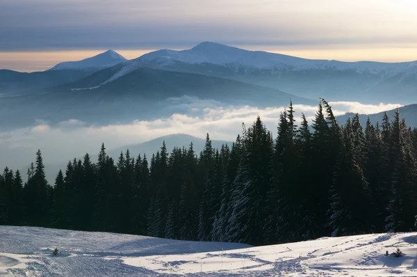 Solnedgång i dimmigt vintern berg — Gratis stockfoto