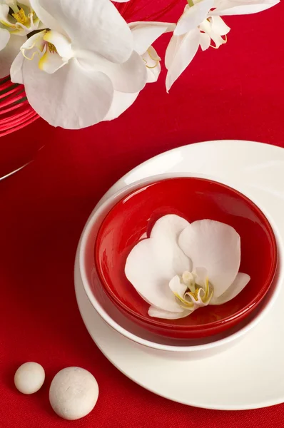 Apparecchiatura della tavola con fiori di orchidea — Foto Stock