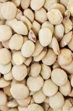 Yeşil mercimek tohum arka plan