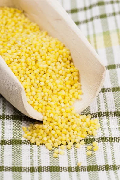 Millet grains in scoop — Stock Photo, Image