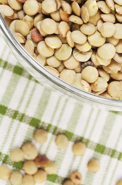 緑レンズ豆の種 — ストック写真