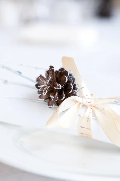 Place setting decorated with pine cone — Stock Photo, Image