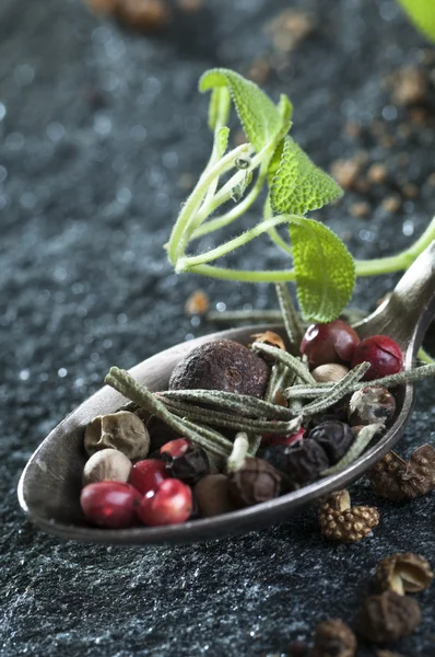 Peppercorns mix and  sage leaves — Stock Photo, Image