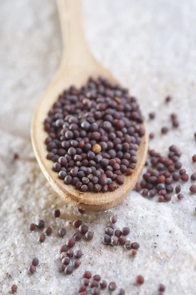 Black mustard seeds on a spoon — Stock Photo, Image