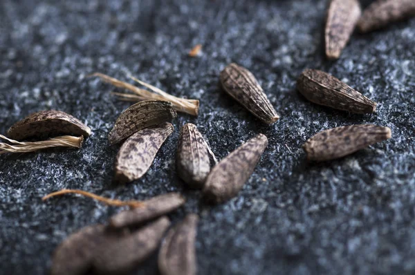 Burdock seeds on stone cutting board — Stock Photo, Image