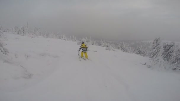 Freeriden van de skiër in de bergen — Stockvideo