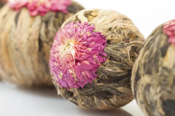 Boules de thé en fleurs — Photo gratuite