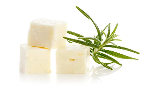 Cheese and rosemary herb — Stock Photo, Image