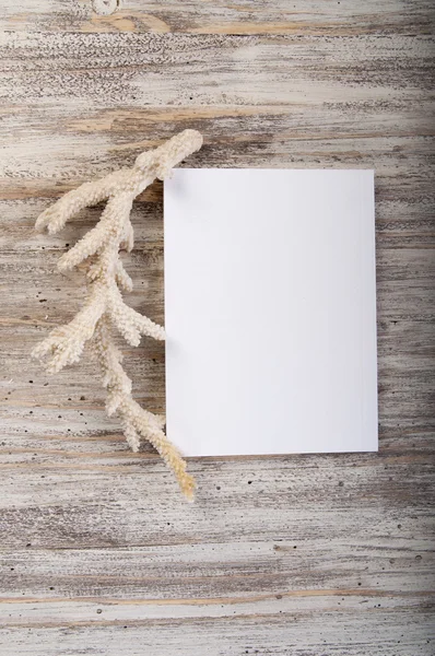 Sketch book and coral — Stock Photo, Image