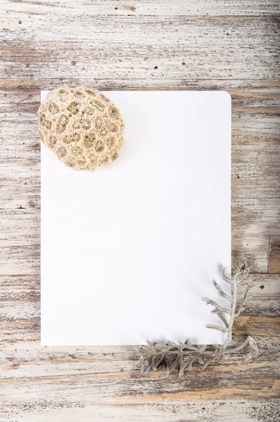 Sketch book and coral — Stock Photo, Image